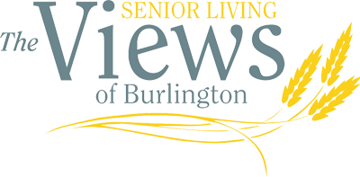 Views of Burlington Logo